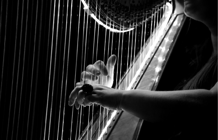 Harp Lessons