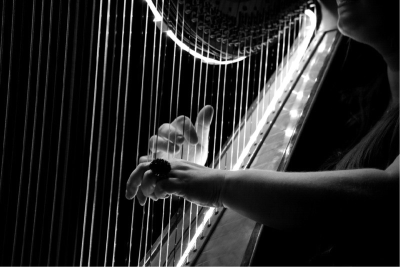 Harp